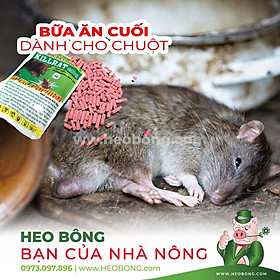 Thuốc diệt chuột Killrat 0.005% (5 hộp x 50g) - BỮA ĂN CUỐI dành cho chuột