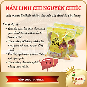Nấm Linh Chi Hàn Quốc Daedong ( Hộp 500g/1000g )