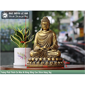 Mua Tượng Phật Thích Ca Mâu Ni cao 30cm nặng 3kg