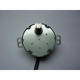 Mua Nhông điện có lỗ zen 220v - đk 48mm - tút năng điện hào quang mô tơ đảo