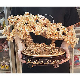 Mua Cây Tài Lộc đá Thạch Anh vàng kiểu dáng bonsai nghiêng chiêu tài tấn lộc