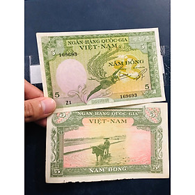 Mua Tờ tiền xưa 5 đồng long phụng 1955   tiền cổ Việt Nam