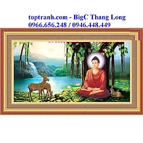Mua tranh thêu chữ thập Phật Thích Ca Mâu Ni A1099 chưa thêu
