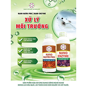 Bộ Đôi Xử Lý Môi Trường NANO VIETNAM TECH Sạch Nước, Khỏe Tôm, Tăng Trọng, Lớn Nhanh