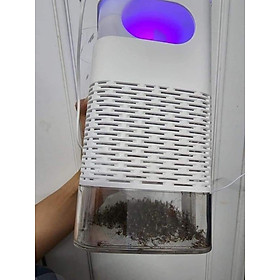 Mua {Chính Hãng} Đèn Bắt Muỗi Tia UV Thông Minh Nhập Khẩu  Diệt Côn Trùng Quang Điện Tử  Công Nghệ Đèn LED Kiêm Đèn Ngủ  Bắt Muỗi Tiện Lợi Không Gây Độc Hại - Hàng Nhập Khẩu