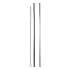 Ống Hút Thép Không Gỉ Thân Thiện Môi Trường (2 Cái)
