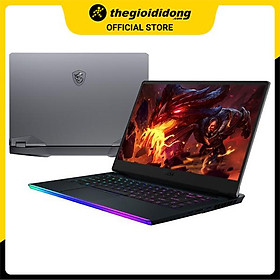 Mua Laptop MSI GE66 Raider 11UG i7 11800H/16GB/2TB SSD/8GB RTX3070/15.6 F/360Hz/Balo/Chuột/Win10/(258VN)/Xám - Hàng chính hãng