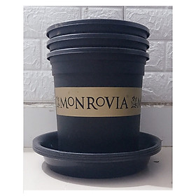 Combo 3 Chậu MONROVIA CH Garden 1.5Gal + 3 Khay  Lót Đế Chậu 26 - Màu Đen