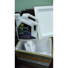 Mua Combo Dung dịch khói không mùi  nước khói DJ  2 can nguyên liệu tạo khói