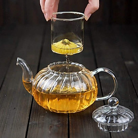 Mua Ấm pha trà thủy tinh có lọc 16b