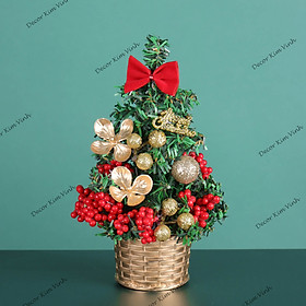 Mua Cây Thông Nhí TNM20 Cây 20cm Trang Trí Giáng Sinh Cây Thông Noel