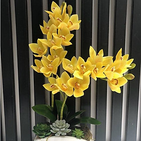 Hoa lan giả - Hoa địa lan cao su 9 bông vàng
