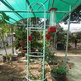 Mua Khung đỡ hoa hồng