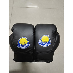 GĂNG TAY BOXING, GĂNG TAY ĐẤM BỐC EVERLAST-GĂNG BOXING