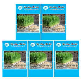 Mua Bộ 5 Gói Hạt Giống Cỏ Lúa Mì Đỏ Cỏ Mèo Wheatgrass (Triticum aestivum) 100g