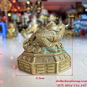 Mua Thiềm Thừ Ngậm Tiền Bát Quái Bằng Đồng-Cóc 3 Chân Ngậm Tiền Bát Quái