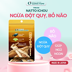 Viên Uống Nattokinase 3000FU Phòng Ngừa Đột Quỵ, Bổ Não, Giúp Ngủ Ngon Natto Ichou Genki Fami Nhật Bản Túi 30 Viên