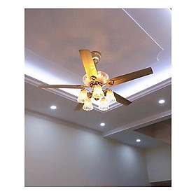 Mua Quạt trần có đèn DQTTP-52-8012