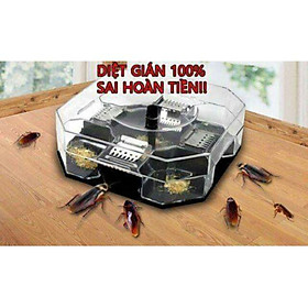 Mua Máy bắt gián cỡ to