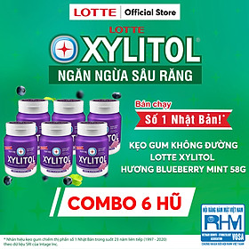 Combo 6 Kẹo Gum không đường Lotte Xylitol - Hương Blueberry Mint 58 g