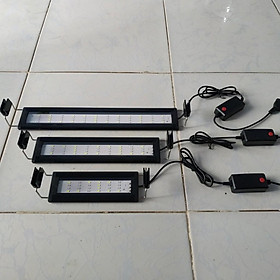 Đèn bể cá 20 - 90cm ĐỔI MÀU với 3 chế độ màu khác nhau có đến 4 dãy LED