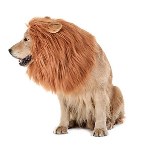 Lion Mane cho chó trung bình lớn với tai chó quà vui nhộn thú cưng+đuôi