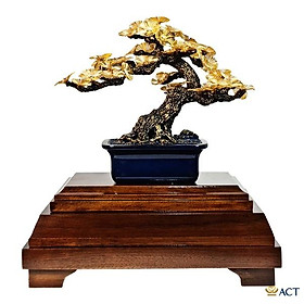 Tùng La Hán - Qùa tặng sếp, bạn bè, người thân, thầy cô, mừng thọ,...