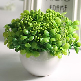 Mua Hoa quả giả  chậu cỏ giả điểm nụ hoa nhí để bàn  kệ tủ trang trí nhà cửa nhiều mẫu đẹp