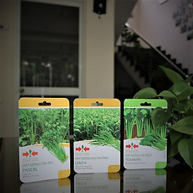 >> BÁO GIÁ BỘ 1 GÓI HẠT GIỐNG RAU CẦN TÂY CHỊU NHIỆT | Shopee Lazada Sendo Tiki mới nhất 162 BỘ 3 GÓI HẠT GIỐNG CẦN TÂY, RAU MUỐNG, CẢI NGỌT CỦA EAST-WEST SEED (HAI MŨI TÊN ĐỎ)