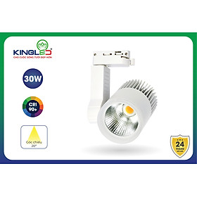 Đèn Led Rọi Ray 30W Beryl (DTL-30SS) KINGLED - Trắng