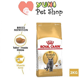 Thức Ăn Cho Mèo Royal Canin British Shorthair Adult (2kg) - Yuni Pet Shop