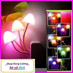 Mua Đèn ngủ hình Cây Nấm