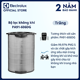 Bộ lọc không khí Electrolux PA91-606DG, Giảm 99,97% PM2.5 và các chất gây kích ứng siêu mịn trong không khí, khử mùi gây khó chịu [Hàng chính hãng]