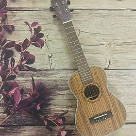 Mua ĐÀN UKULELE CONCERT SỌC VẰN