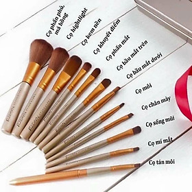 Bộ cọ trang điểm 12 món Naked 5 .lông mịn đầy đủ chức năng trang điểm ,kèm hộp thiếc sang trọng ,nhỏ gọn tiện mang theo
