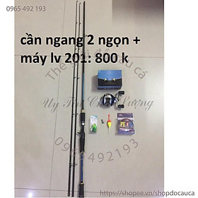Bộ lure ngang 2 ngọn