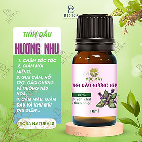 Tinh Dầu Hương Nhu Kháng Khuẩn, Xông Hương Thơm, Thiên Nhiên Nguyên chất