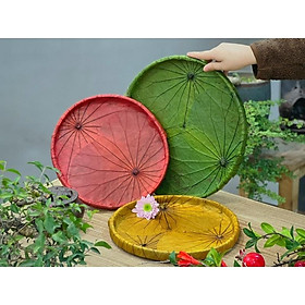 Mua Khay sen khô siêu đẹp
