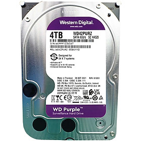 Mua Ổ Cứng HDD Camera WD Purple 4TB SATA 6Gb/s IntelliPower WD42PURZ - Hàng chính hãng