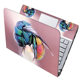 Mua Mẫu Dán Decal Nghệ Thuật Cho Laptop LTNT-351 cỡ 13 inch