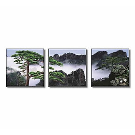 Bộ 3 Tranh Q6D11-FJ0079