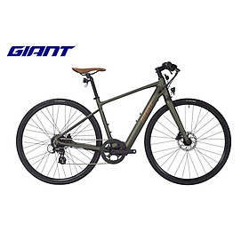 Xe đạp trợ lực điện GIANT FASTER E