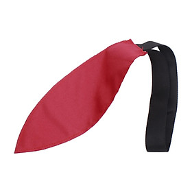 Red Safety Travel Flag for Kayak Canoes Towing Warning Flag