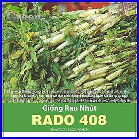 Mua Hạt Giống Rau Nhút (Rau Rút)
