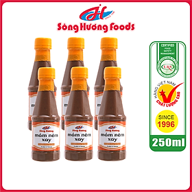 6 Chai Mắm Nêm Xay Sông Hương Foods Chai 250ml