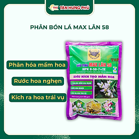 Mua Phân bón lá Chuyên tạo mầm hoa MAX LÂN 58 - Gói 500gam