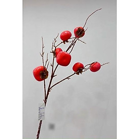 Mua Cành trái hồng 7 quả