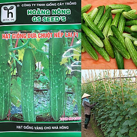 Mua HẠT GIỐNG DƯA CHUỘT NẾP LAI F1 - GÓI 10GR