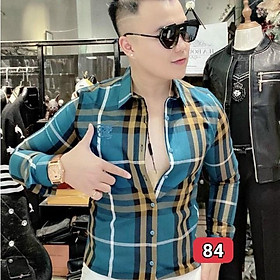 Áo sơ mi nam dài tay chất lụa không nhăn dáng ôm body nhiều mẫu TINA ms84