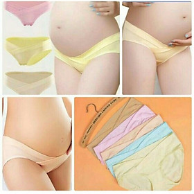 Set 5 quần lót bầu cạp chéo cotton cao cấp